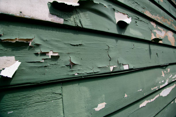 Storm Damage Siding Repair in Weaver, AL